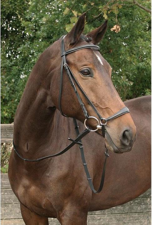 Immagine prodotto Harry's Horse Bronze