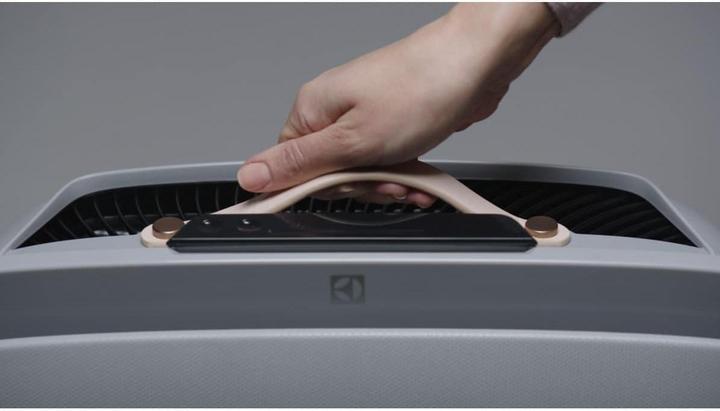 Produktbild Electrolux Dekor Set Soft Birch zu Well A7 und A5 (1x)