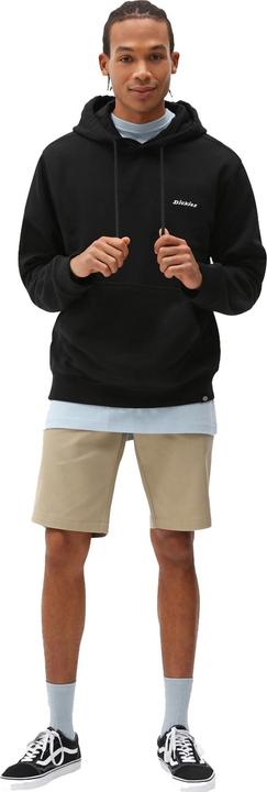 Immagine prodotto Dickies Slim Fit Short REC (30)