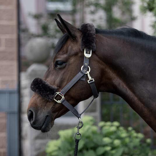Immagine prodotto B Vertigo Laurier