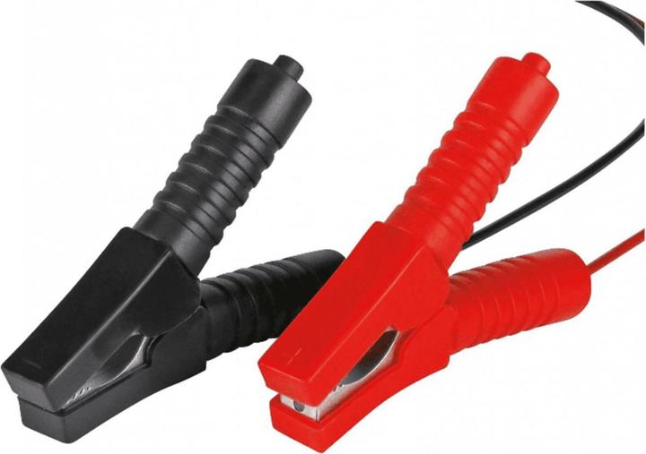 Actual product image Einhell Automatic battery charger (12V, 5 A)