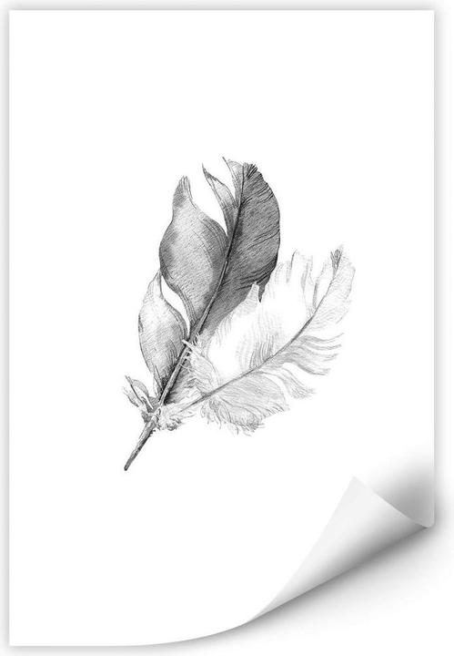 Image du produit Trenddeko Springs (30 x 45 cm)