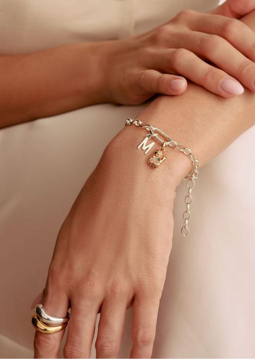 Immagine prodotto Thomas Sabo Charm-Armband mit einem Connect Link Silber (17 cm, Argento)