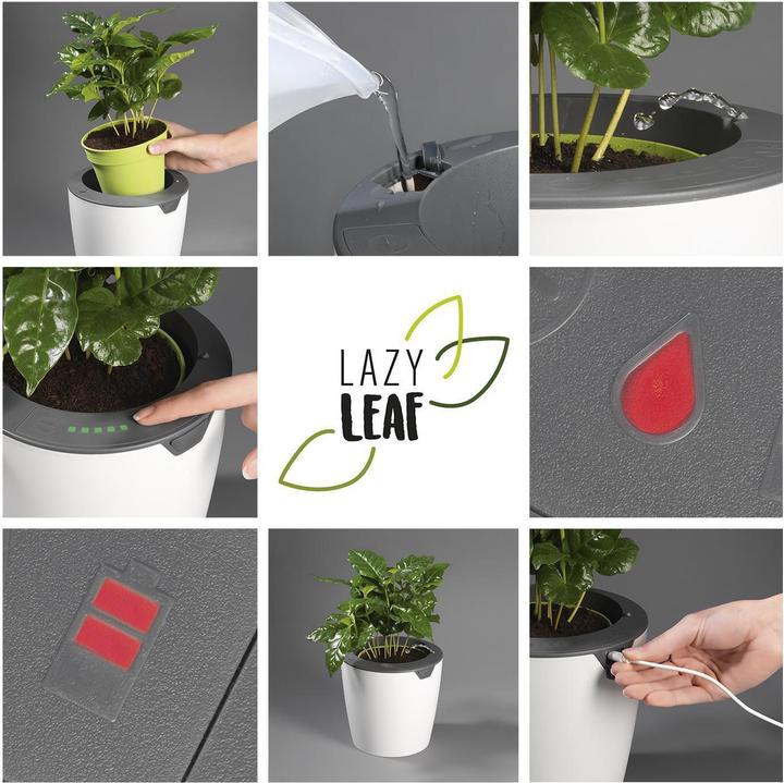 Produktbild Die Höhle der Löwen LazyLeaf