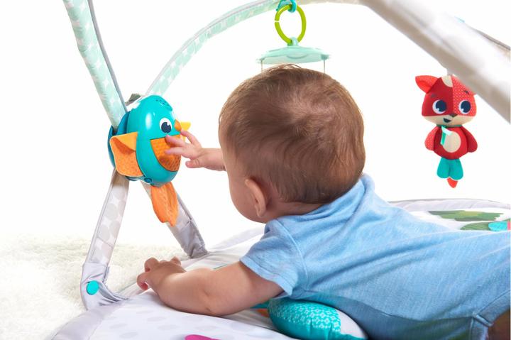 Tiny Love Journées dynamiques des prairies de Gymini