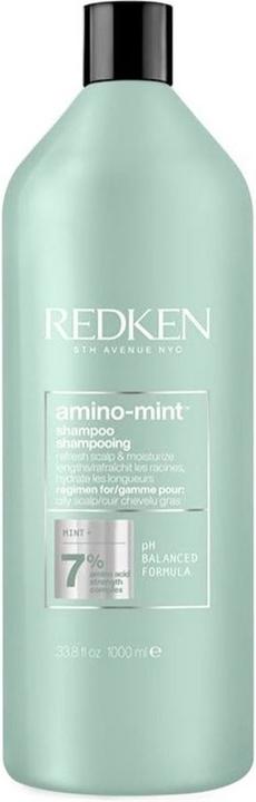 Redken Amino Mint (1000 ml, Trockenshampoo)