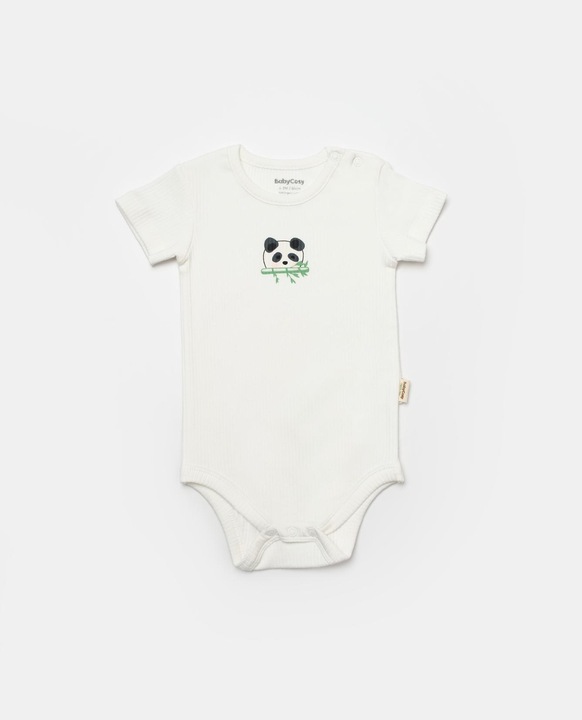 Actual product image BabyCosy 2 Pcs short sleeved Body (80)
