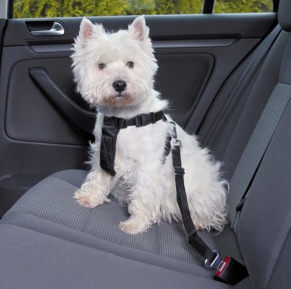 Actual product image Trixie Car harness (Dog, Reflectors)
