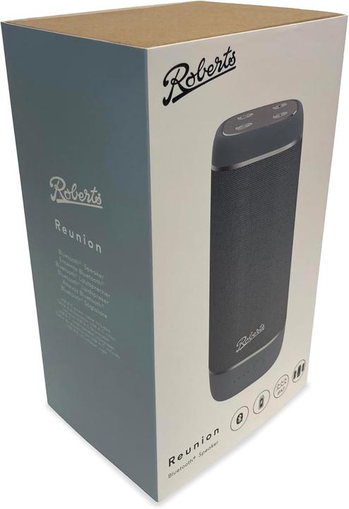 Produktbild Roberts Revival Rest