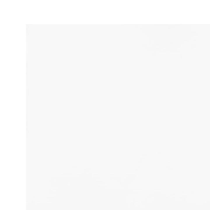 Immagine prodotto vidaXL Plane (4 x 8 m)