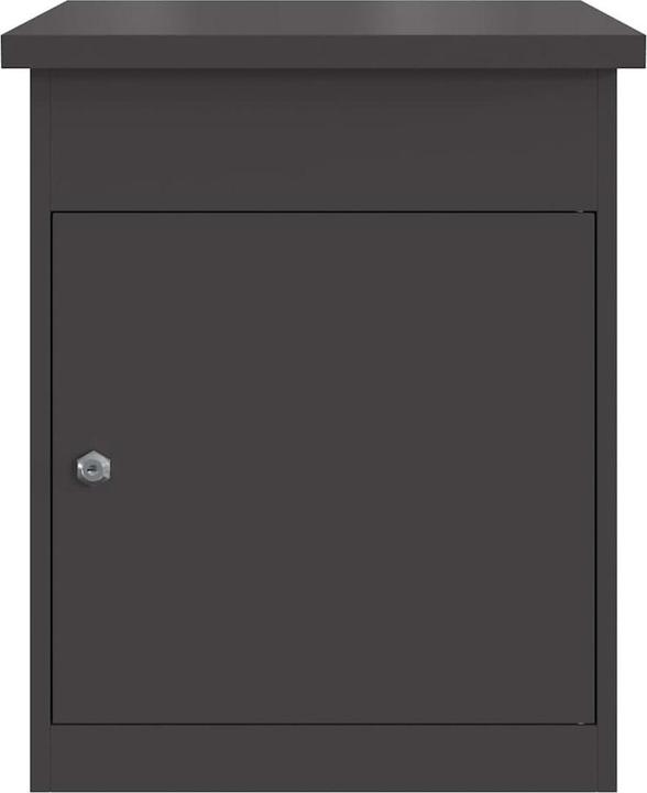 Immagine prodotto vidaXL Paketbox