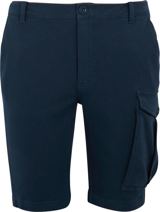 Actual product image Regatta Mens Bendrick Shorts (44)