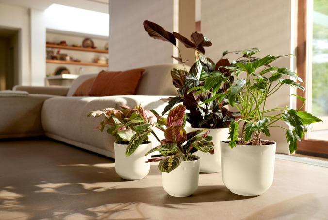 Produktbild Elho Jazz Rund