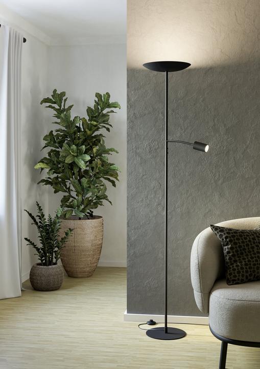 Image du produit EGLO Lampada da Terra Conivarino (3150 lm)