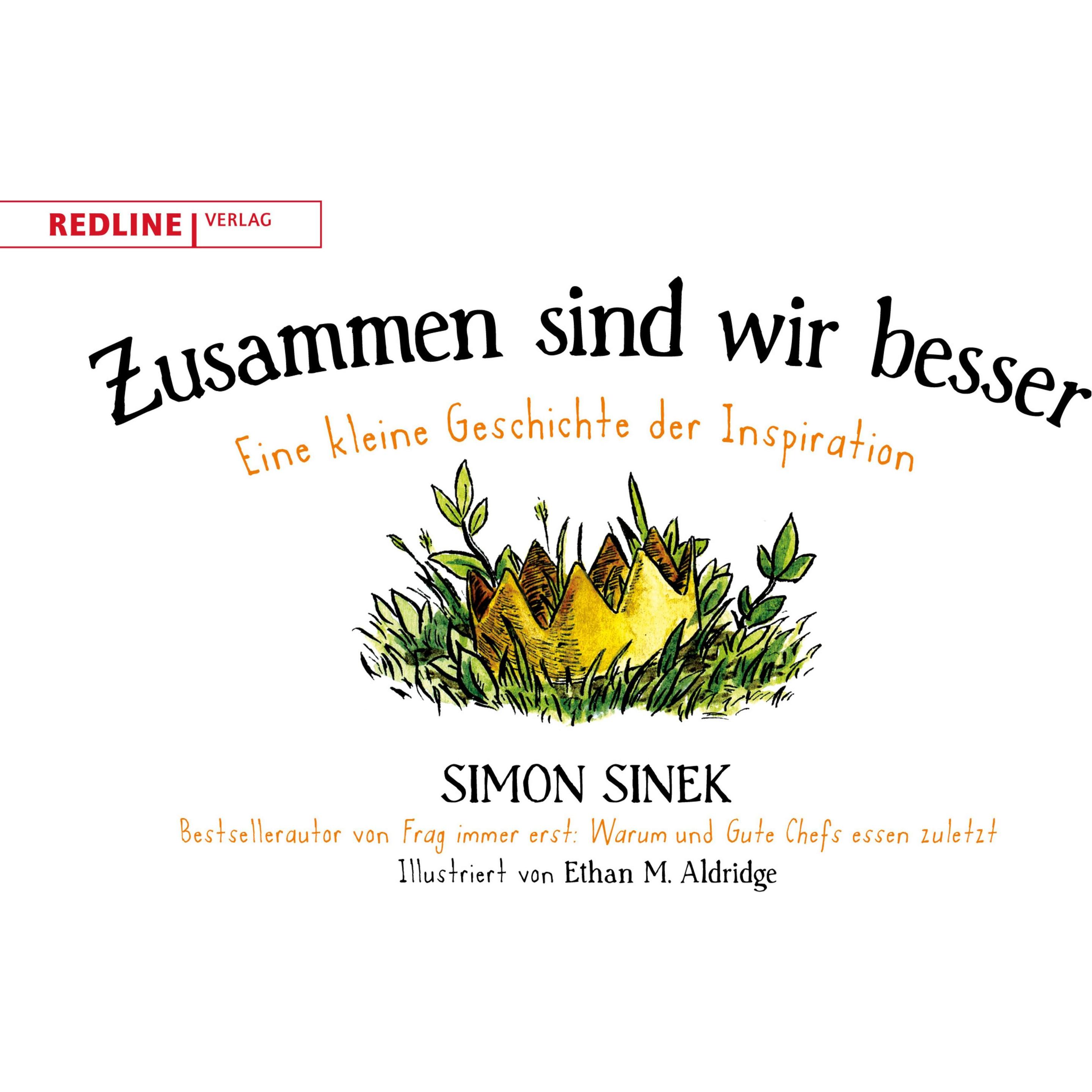 Zusammen sind wir besser, Ratgeber von Simon Sinek