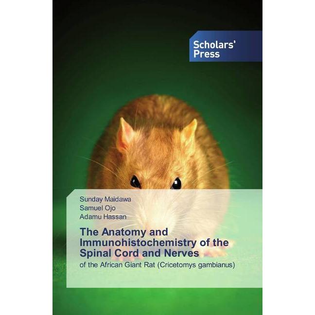 The Anatomy and Immunohistochemistry of the Spinal Cord and Nerves, Fachbücher von Samuel Ojo, Sunday Maidawa, Adamu Has...