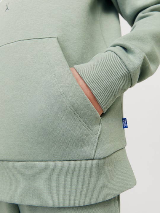 Actual product image Jack & Jones JJELOGO SWEAT HOOD 2 COL 24/25 NOOS JNR (164)