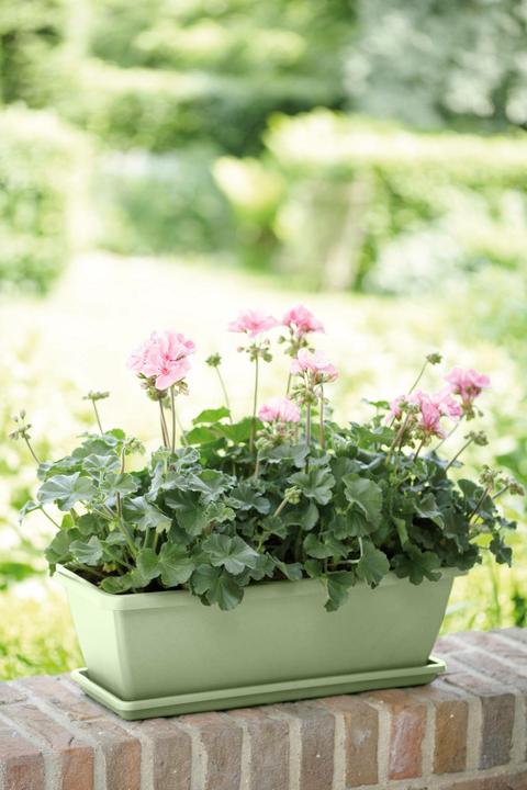 Produktbild Elho Barcelona (1.95 cm)