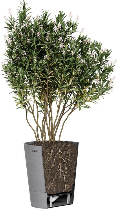 Produktbild Boum Topf