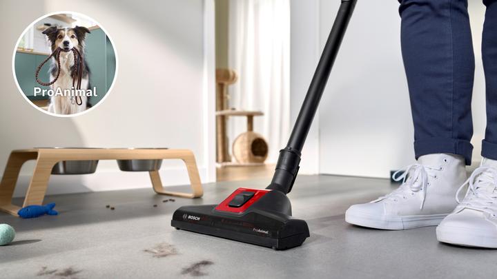 Image du produit Bosch Hausgeräte BGL6PET3