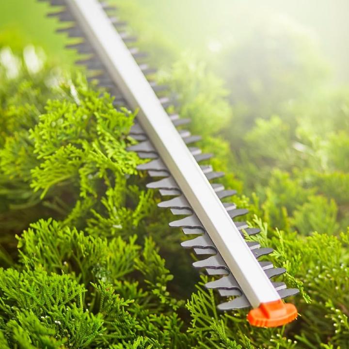 Immagine prodotto Gardena THS 42/18V P4A (Batteria ricaricabile)