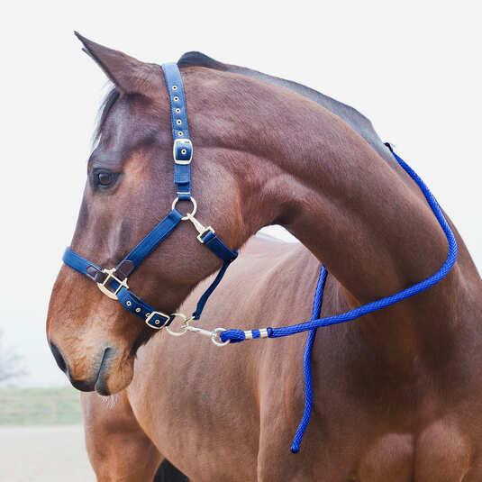 Actual product image Horze Lanyard with anti-panic carabiner for horses