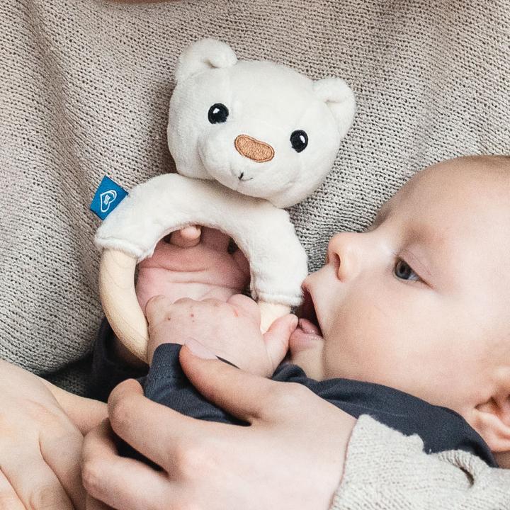 Image du produit Whisbear Oursons écolos
