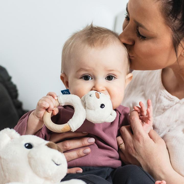 Image du produit Whisbear Oursons écolos