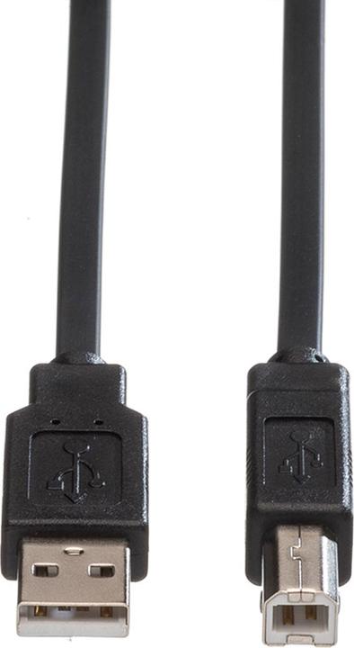 Immagine prodotto Roline Cavo piatto USB 2.0 (1.80 m, USB 2.0)