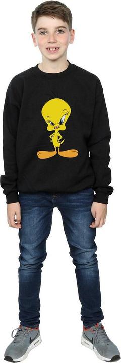 Actual product image Looney Tunes Boys Angry Tweety Sweatshirt (152, 158)