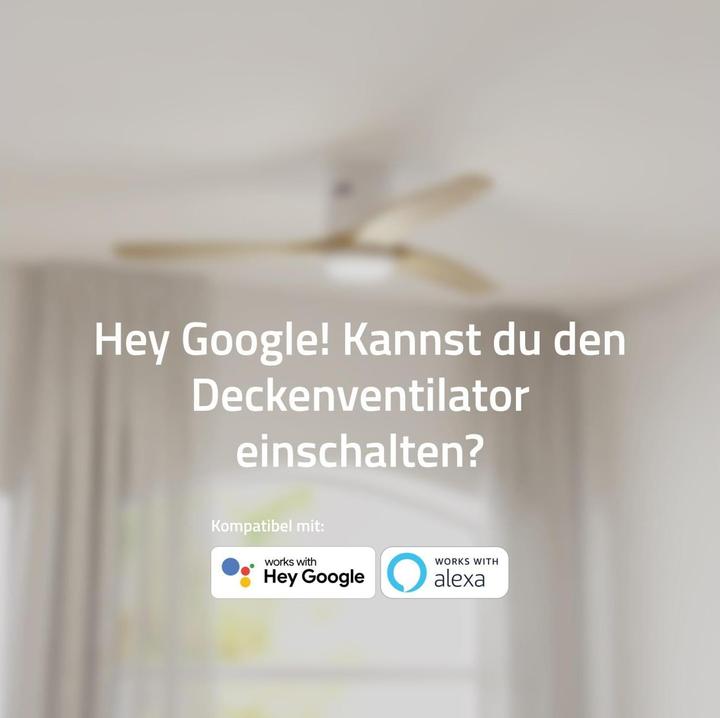 Produktbild Hombli Deckenventilator mit Licht (43 dB)