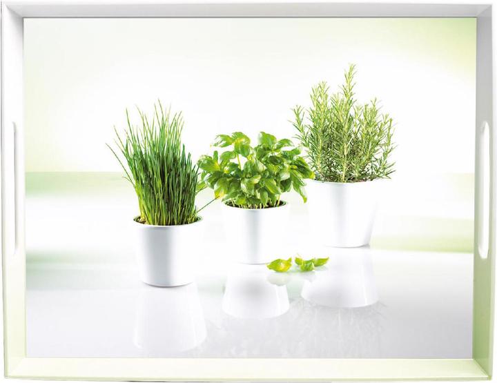 Produktbild Emsa Herbs
