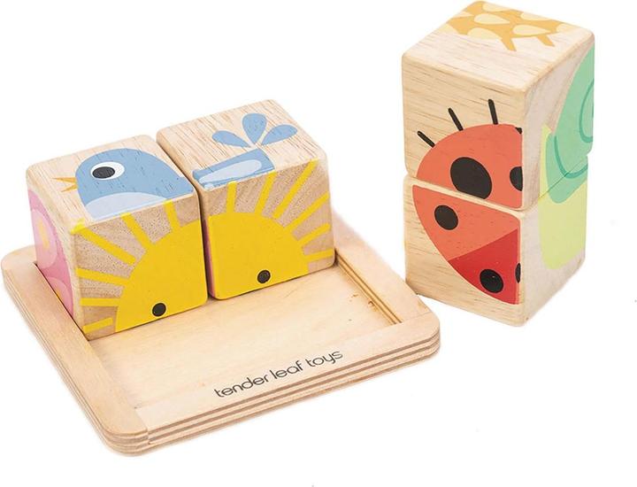 Image du produit Tender Leaf Toys Puzzle de dés (5 pièces)