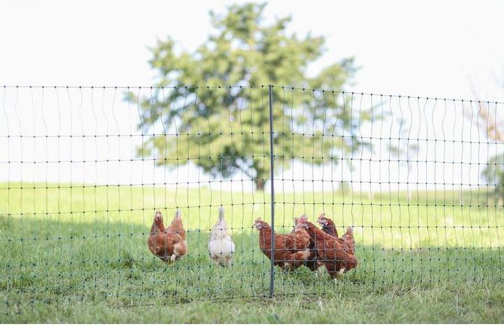 Actual product image Kerbl PoultryNet