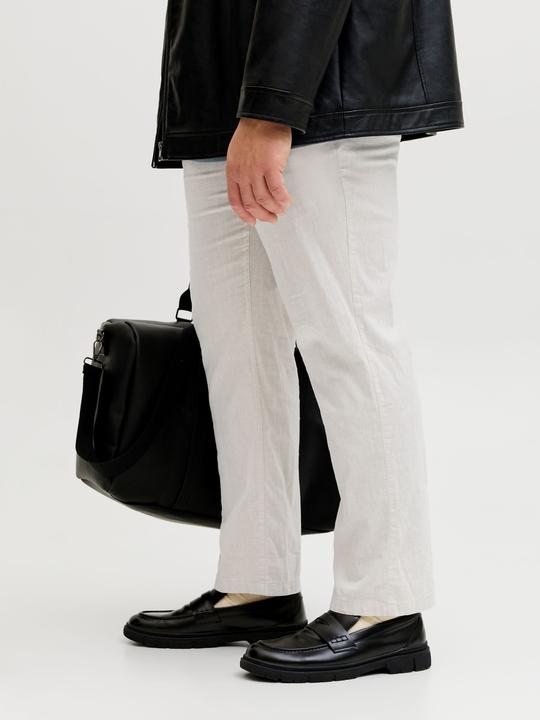 Actual product image Jack & Jones Plus Size Relaxed Fit Relaxed Fit Hosen Relaxed Fit Hosen (46)