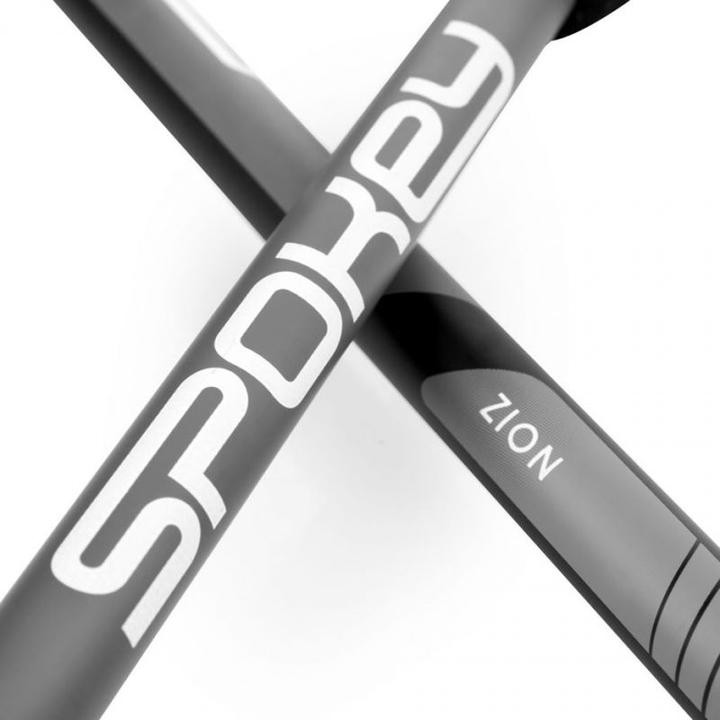 Actual product image Spokey Trekking poles gray black ZION (105 - 135 cm)