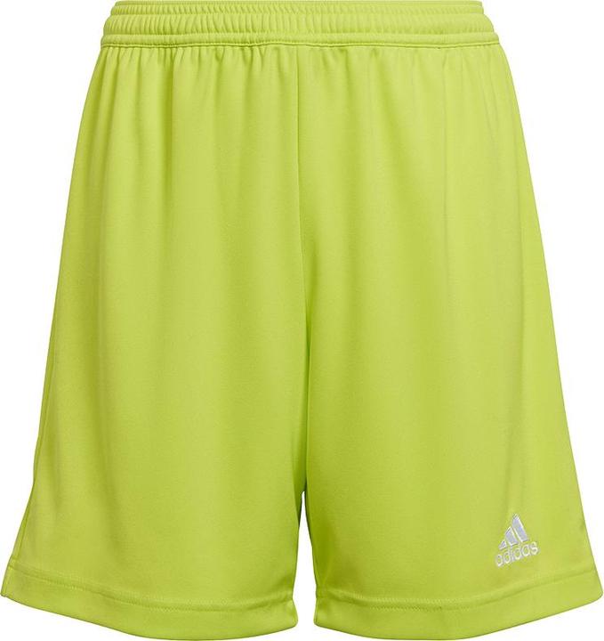 Actual product image adidas Entrada 22 Shorts (140)
