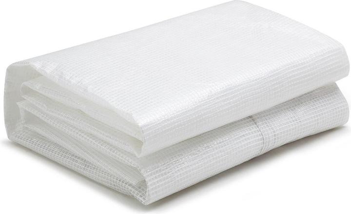 Immagine prodotto Vente-unique Alocasia