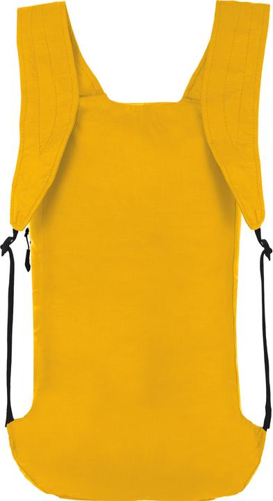 Image du produit Salewa Sac à dos Ultralight L (22 l)