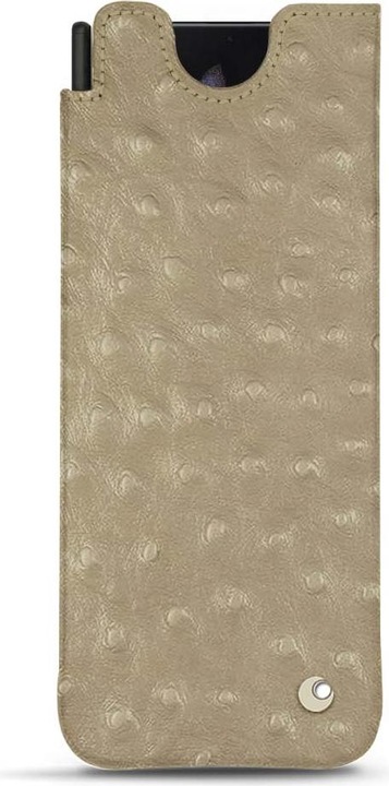 Autruche desert (Pantone #A39382 )