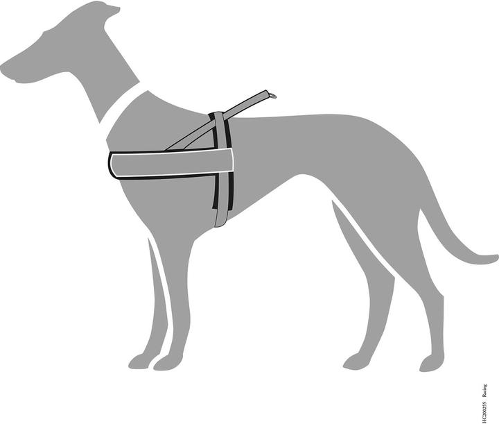 Immagine prodotto Hunter Imbracatura norvegese (Cane, Jogging, Moto)