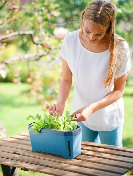 Productafbeelding Gusta Garden Harry Kruiden