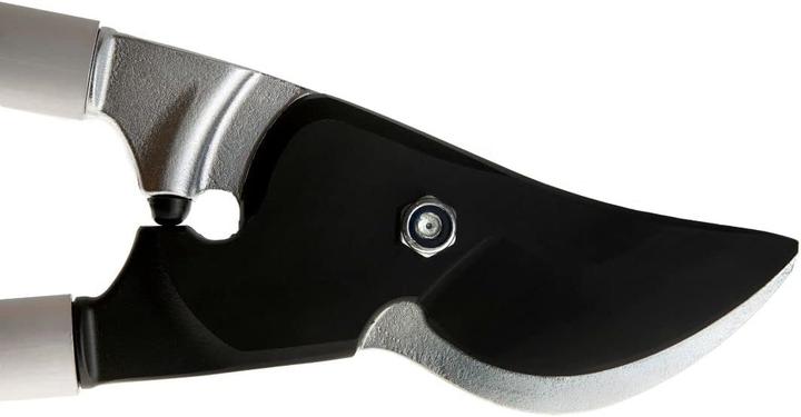 Actual product image BERGER Branch shears bypass 19 4280