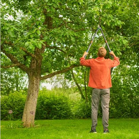 Actual product image Gardena TeleCut long branch shears 650-900B