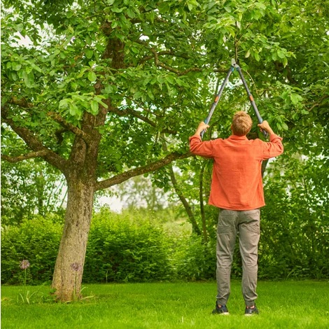 Image du produit Gardena Cisaille à branches longues TeleCut 650-900B
