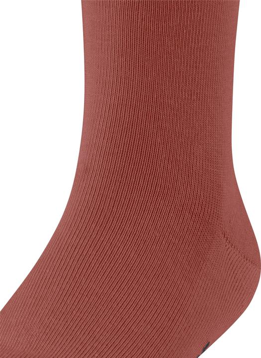 Produktbild Falke Family SO (Einzelpack, 23 - 26)