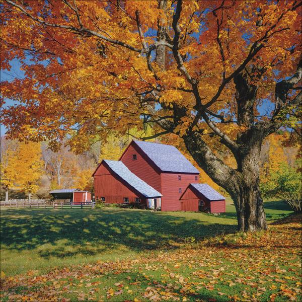 Actual product image Augenblicke der Stille 2026 (30 x 30 cm)