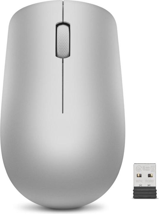Image du produit Lenovo Souris sans fil Accessories 530 (gris platine) (Sans fil)