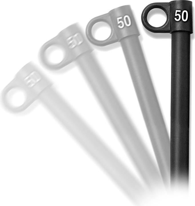 Actual product image Bowflex 410 lbs / 185 kg Rod upgrade