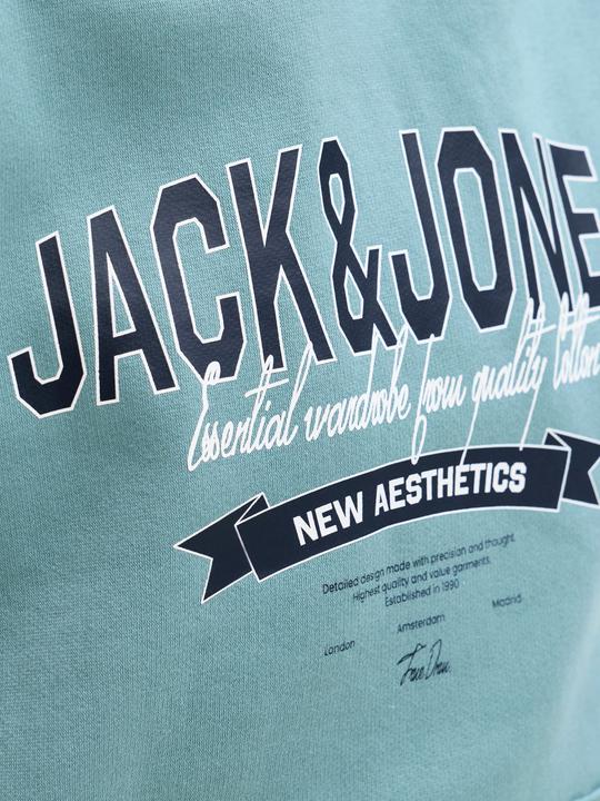 Produktbild Jack & Jones JJELOGO SWEAT HOOD 2 COL 25/26 NOOS JNR (128)